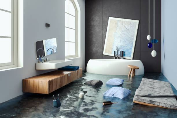 Best Water damage cleanup near me  in Nicholls, GA