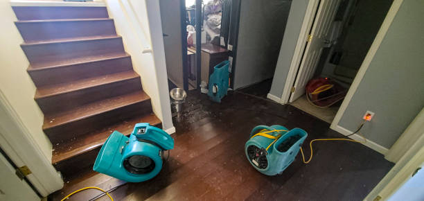 Best Local water damage restoration  in Nicholls, GA