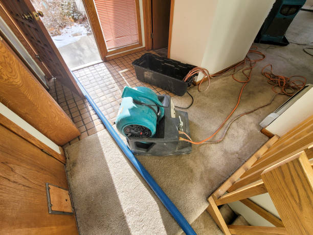 Best Water damage restoration specialists  in Nicholls, GA