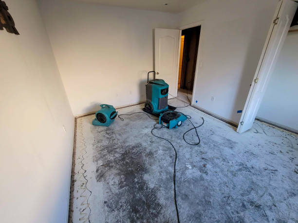 Best Professional water damage repair  in Nicholls, GA
