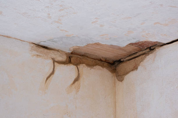Best Local water damage restoration  in Nicholls, GA