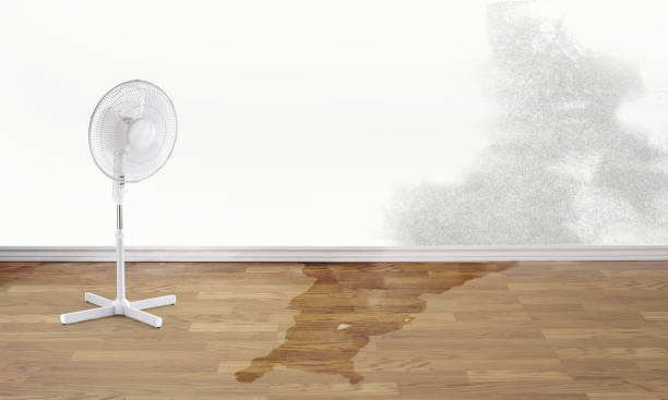 Best Commercial water damage restoration  in Nicholls, GA