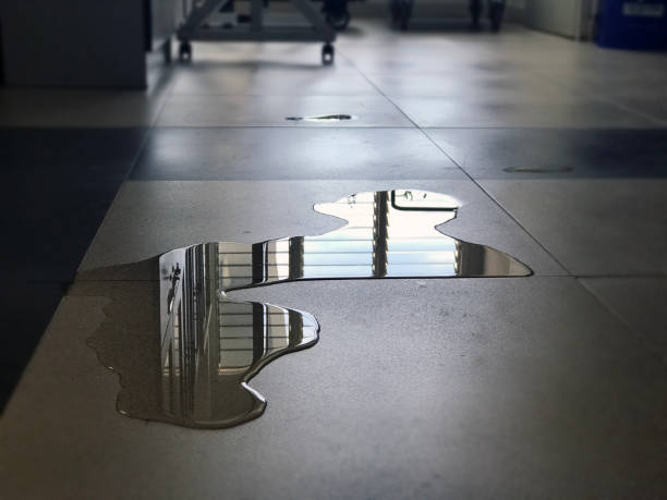 Best 24/7 water damage repair  in Nicholls, GA