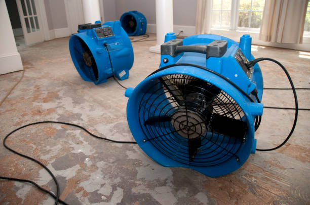Local water damage restoration in Nicholls, GA