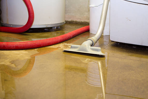 Water damage restoration experts in Nicholls, GA