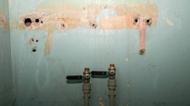 Best Flooded house restoration  in Nicholls, GA