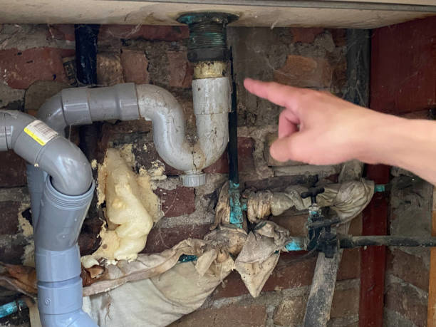 Water damage restoration mold remediation in Nicholls, GA