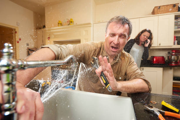 Best Water damage restoration cost  in Nicholls, GA